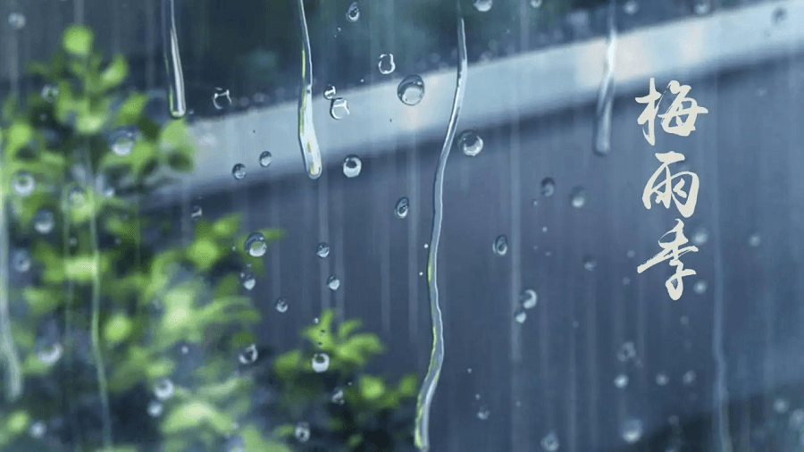 【梅雨季必备】校服代理须知：防潮防霉，守护学生健康